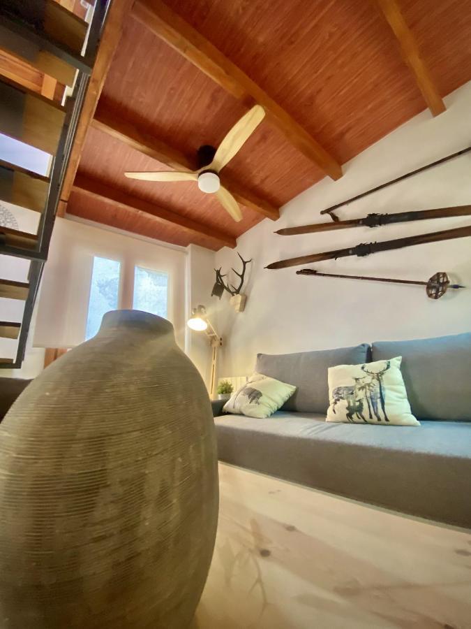 Cal Domenec Rialp - Duplex Con Encanto - Se Admiten Mascotas Exterior photo